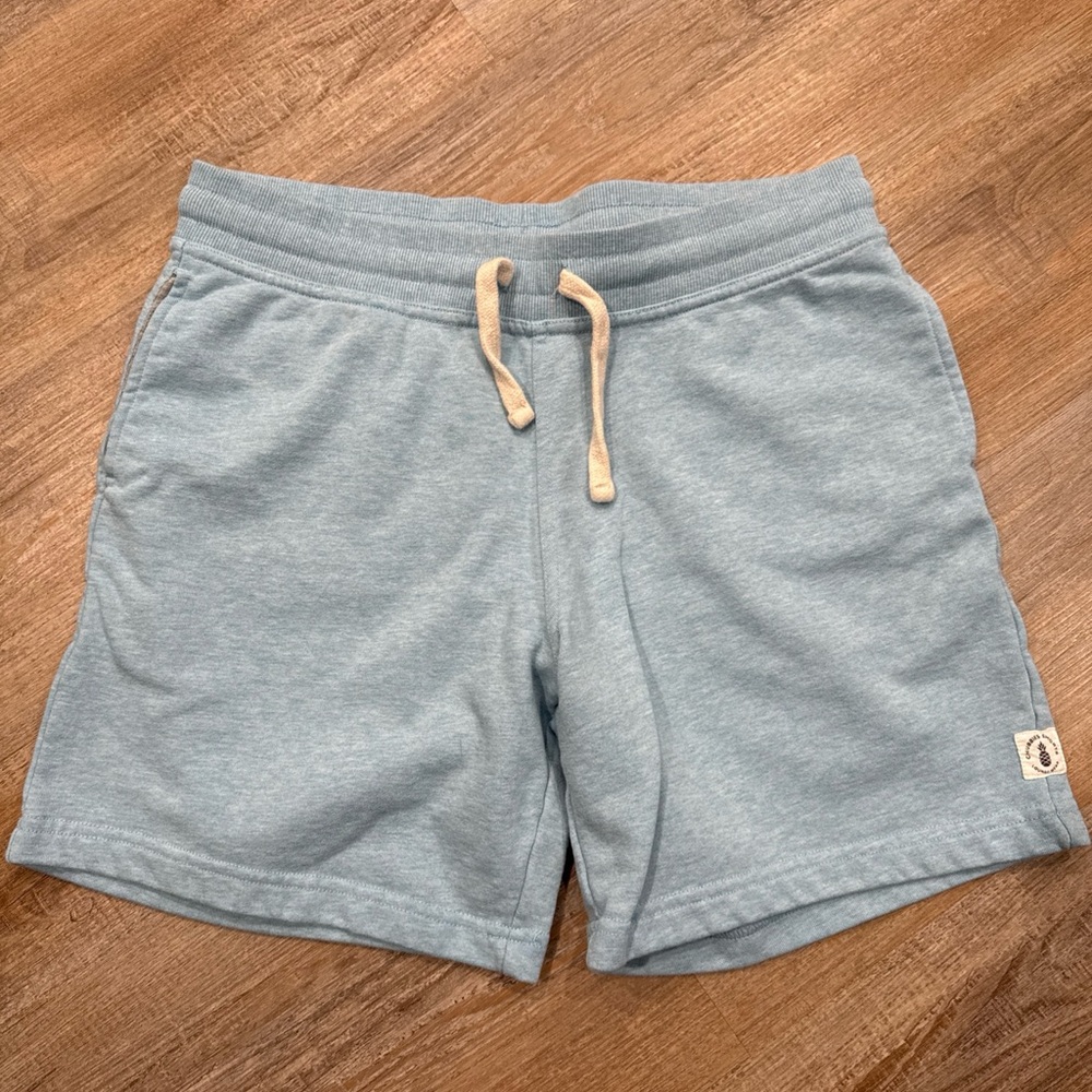 Chubbies Light Blue Men's Shorts